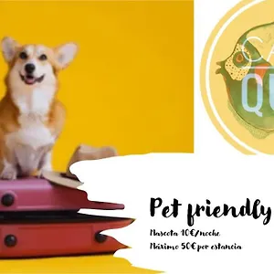 https://casa-quili.hotelsincadiz.net